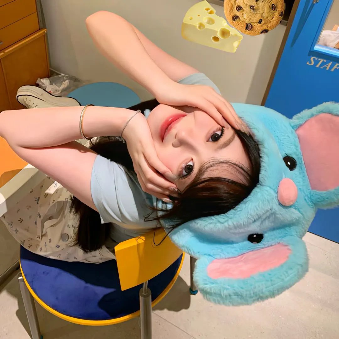 社会学家和小熊